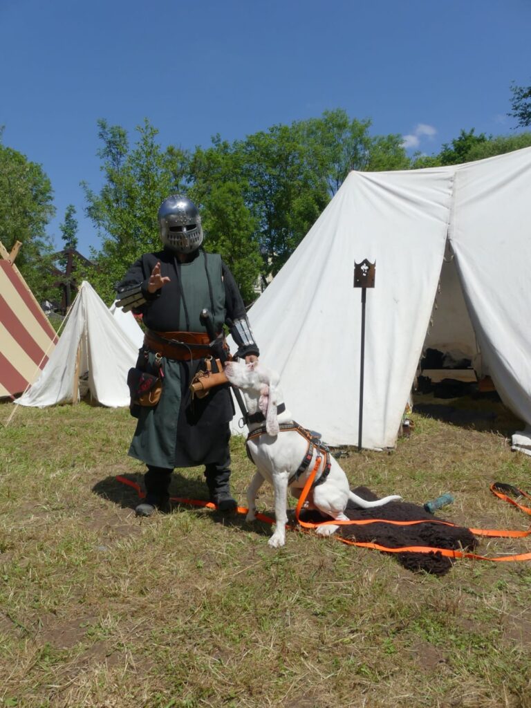 Hundetraining im Mittelalter