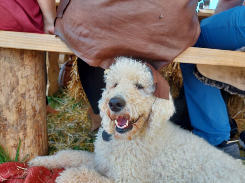 Butscheburger Mittelalterfest Lagerwache